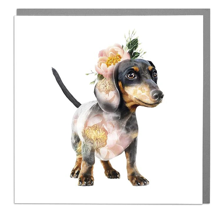 Dachshund Greetings Card