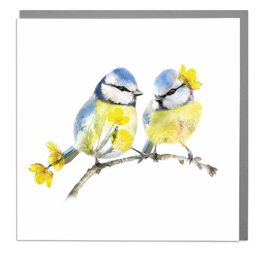 Blue Tit Pair Cards
