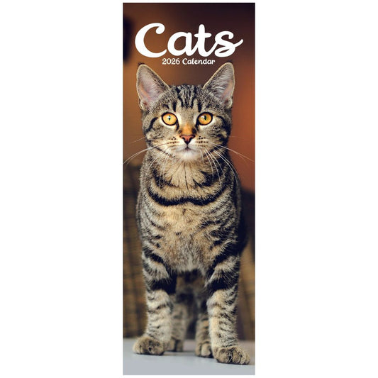 Cats Slim Calendar 2026