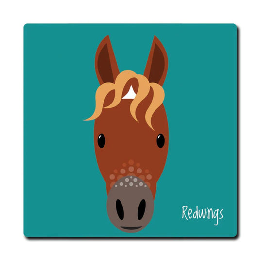 Imán cerámico ilustrado de Redwings
