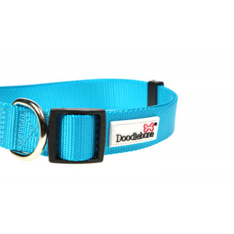 Image shows a bright aqua blue dog collar with black hardwear and the white doodlebone logo badge