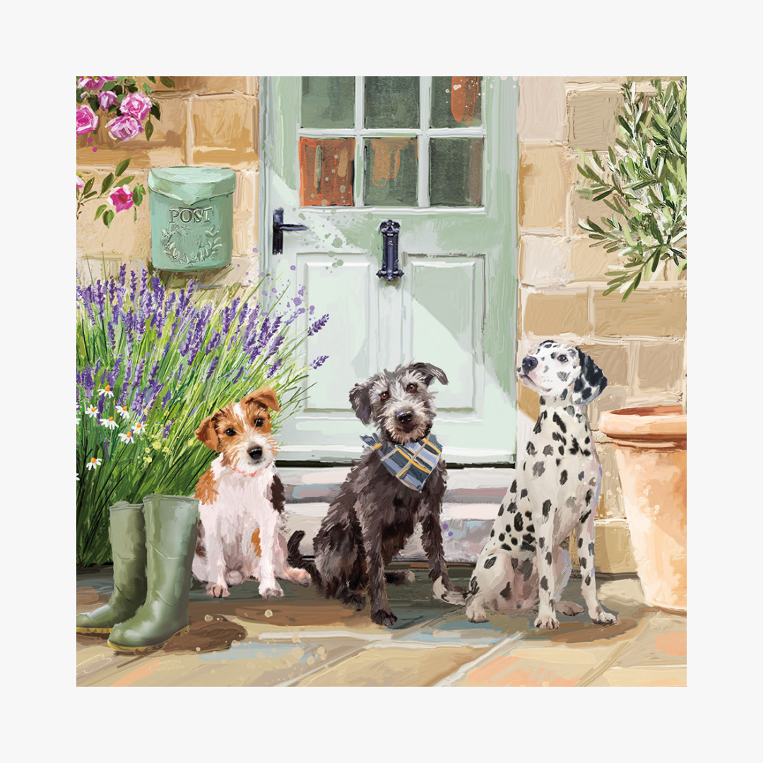 Time for a walk? Blank Card