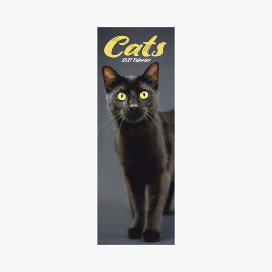 Cats Slim calendar 2027