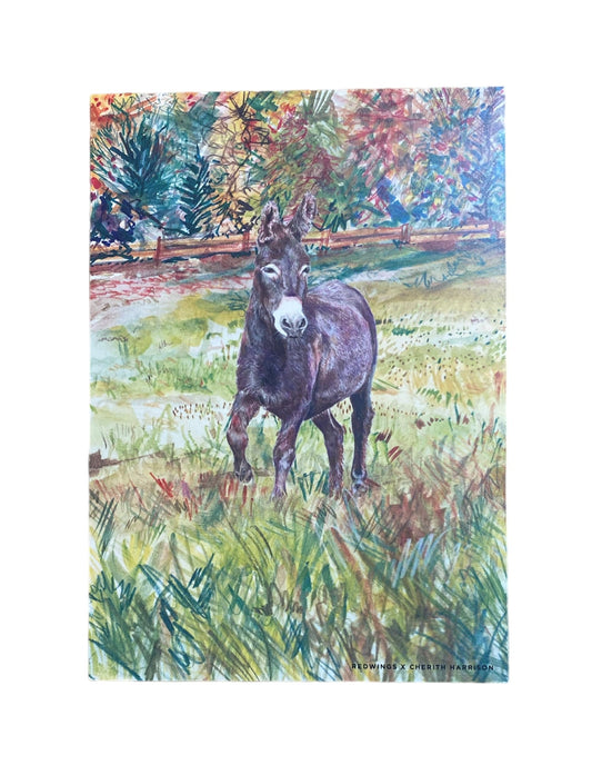 Ensemble d'écriture Denver l'âne