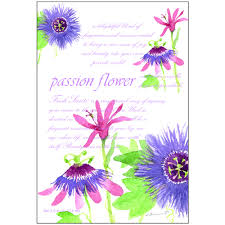 Passion Flower Scented Sachet