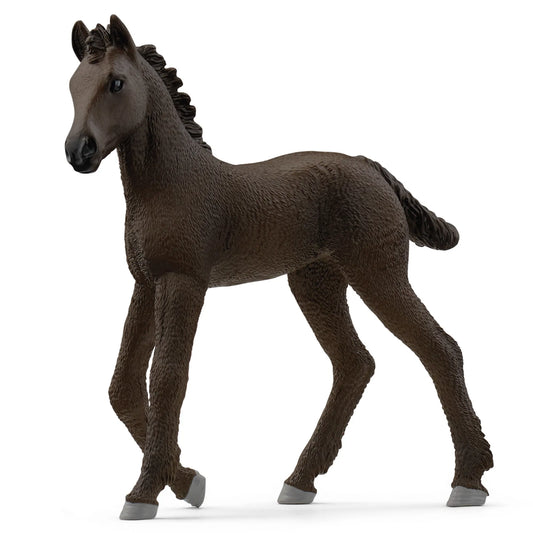 Frisian Foal