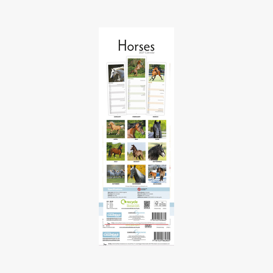 Horses  Calendar 2027 (PFP)Slim