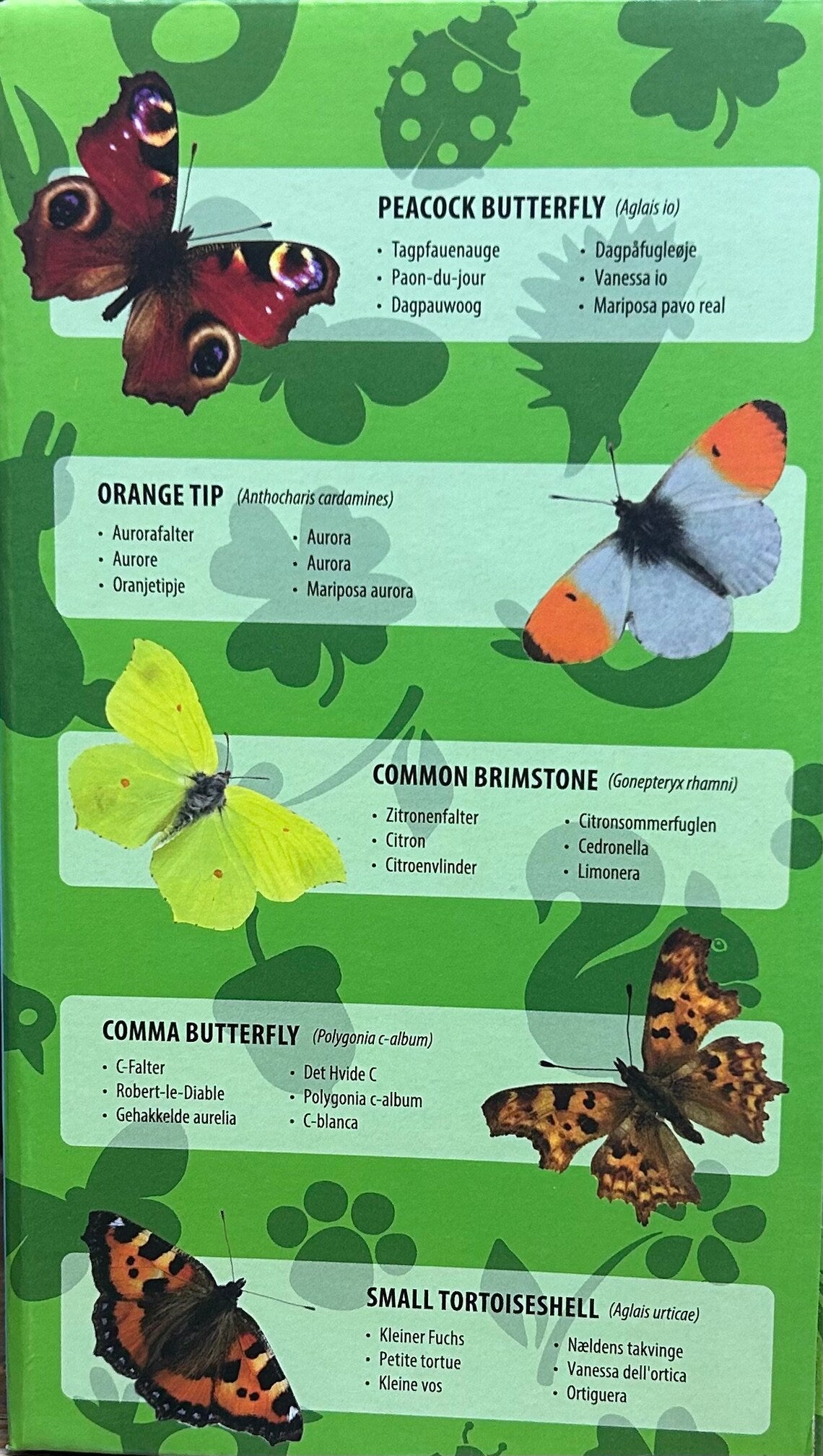 Peignez votre propre maison à papillons