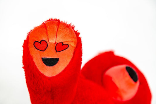 Oso de humor de amor