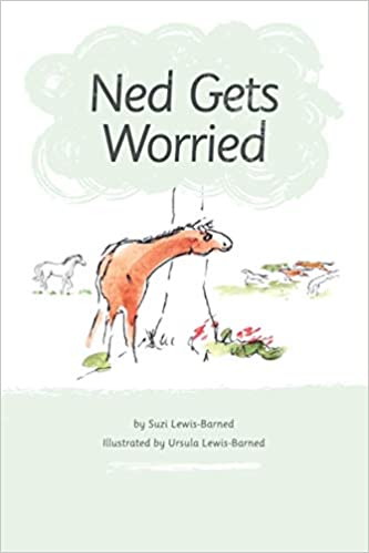 Ned Gets Worried Children's Book