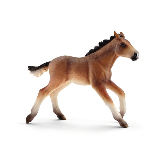 Schleich Mustang Foal