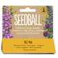 Seedball Bee Mix Meadow Pot