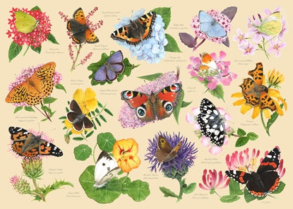 Papillons de jardin 1 000 pièces