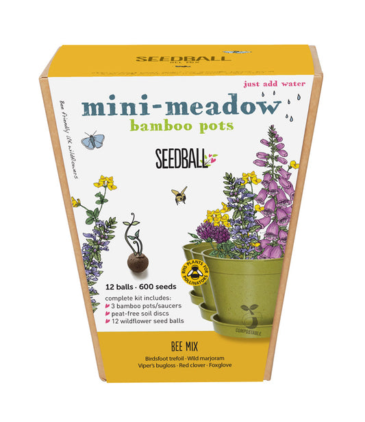 Seedball Bee Mix Meadow Pot