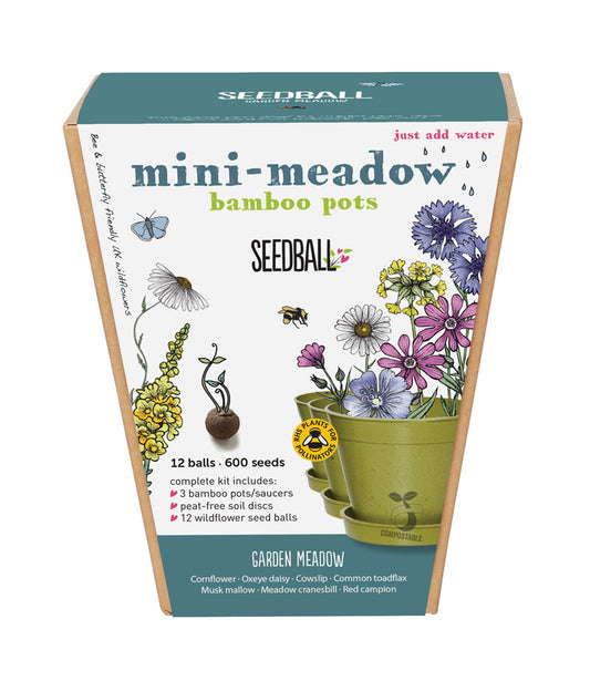 Seedball Garden Meadow Meadow Pot