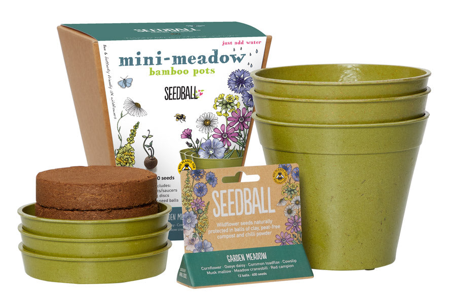 Seedball Butterfly Meadow Pots