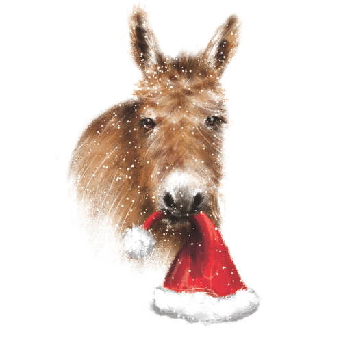 Mule de Noël