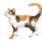 Wrendale Calico Cat Card