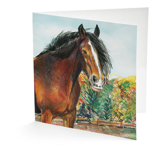 Image shows a greetings card with a beautiful illustration of our shire horse Lady standing in a very green field with different shades of greens throughtout the grass and trees