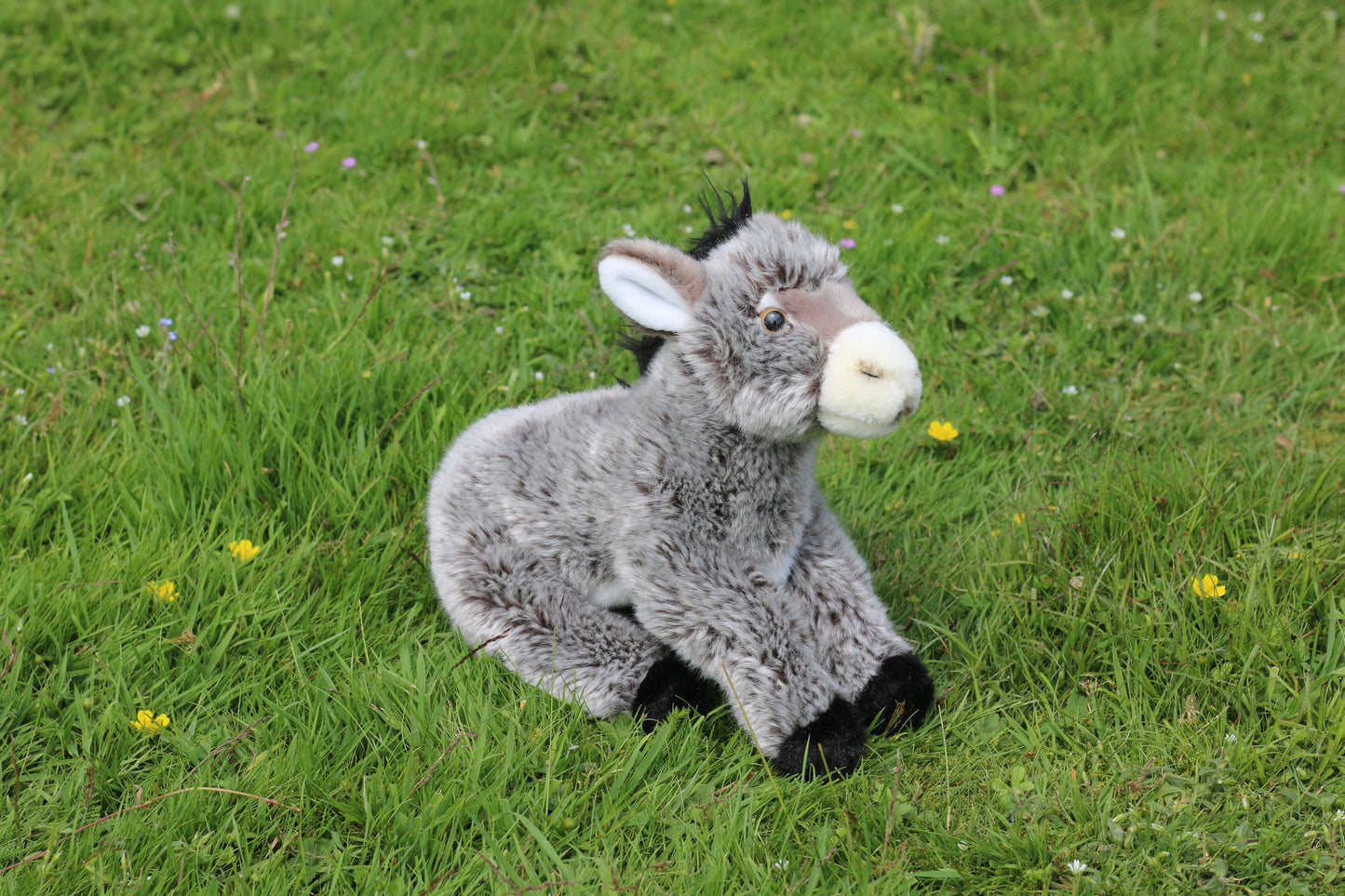 Living Nature Grey Donkey