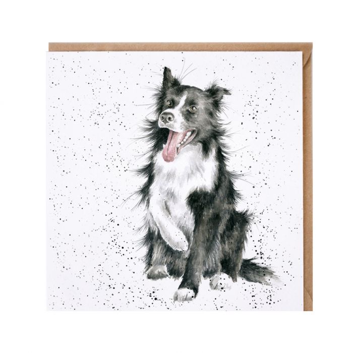 Tarjeta Wrendale Shadow Collie