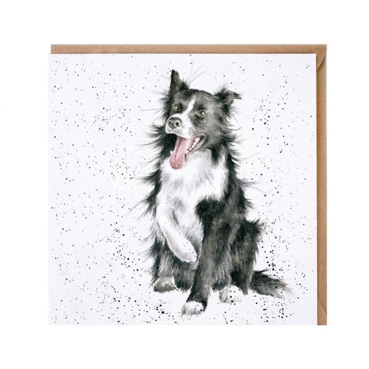 Wrendale Shadow Collie Card