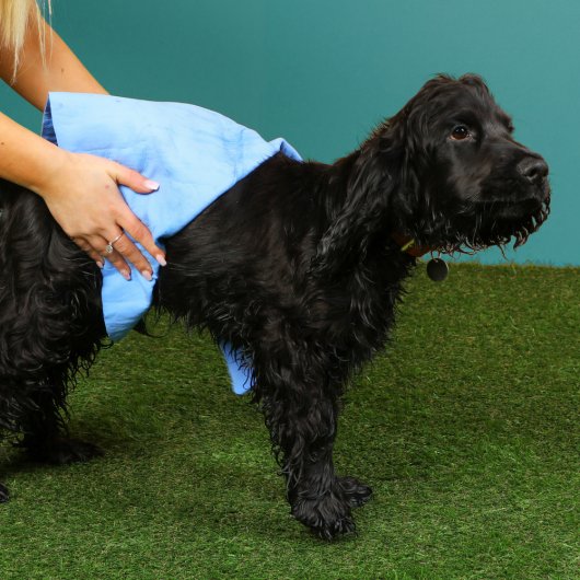 Just Chillin' Cooling Towel