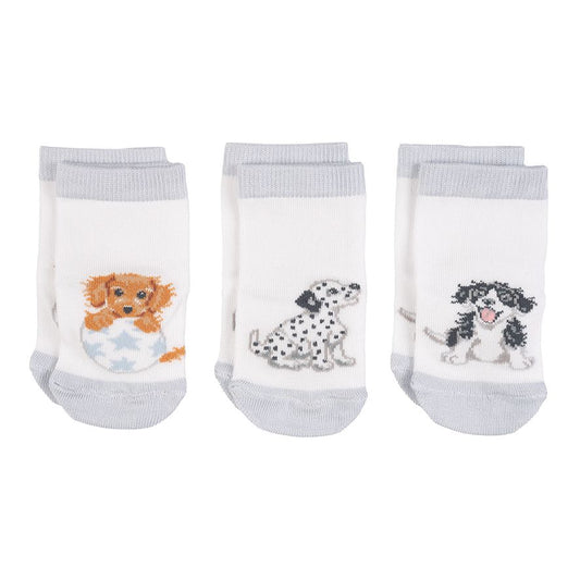 Calcetines de bebé para perros Wrendale 'Little Paws'